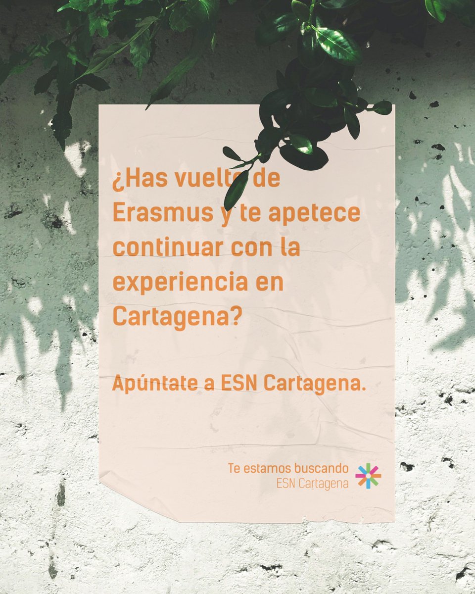 Juventud Cartagena tweet media