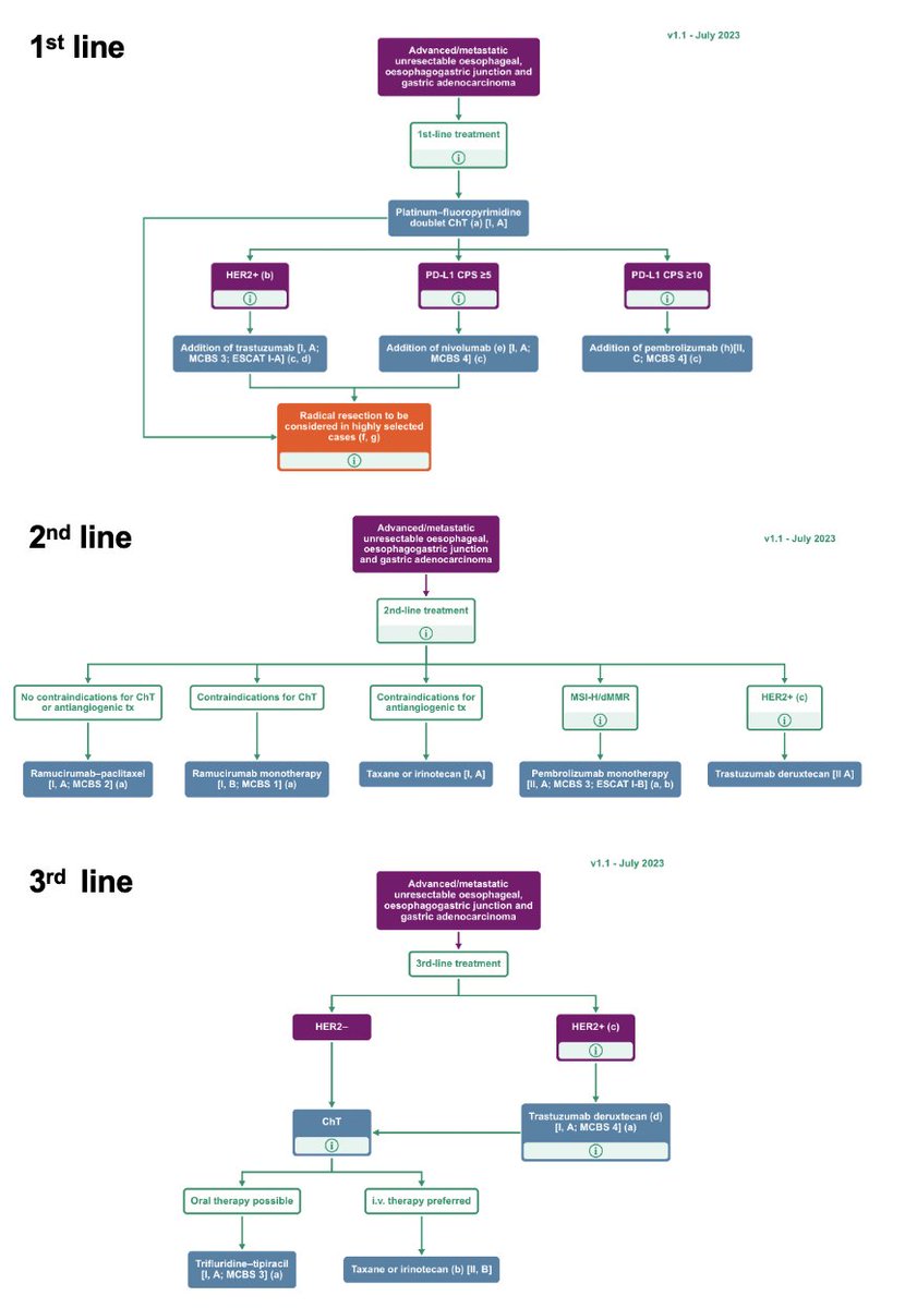 🔥Just out: The ESMO #GastricCancer Living Guideline 👉get the latest news & updates for daily decision making @myESMO @OncoAlert