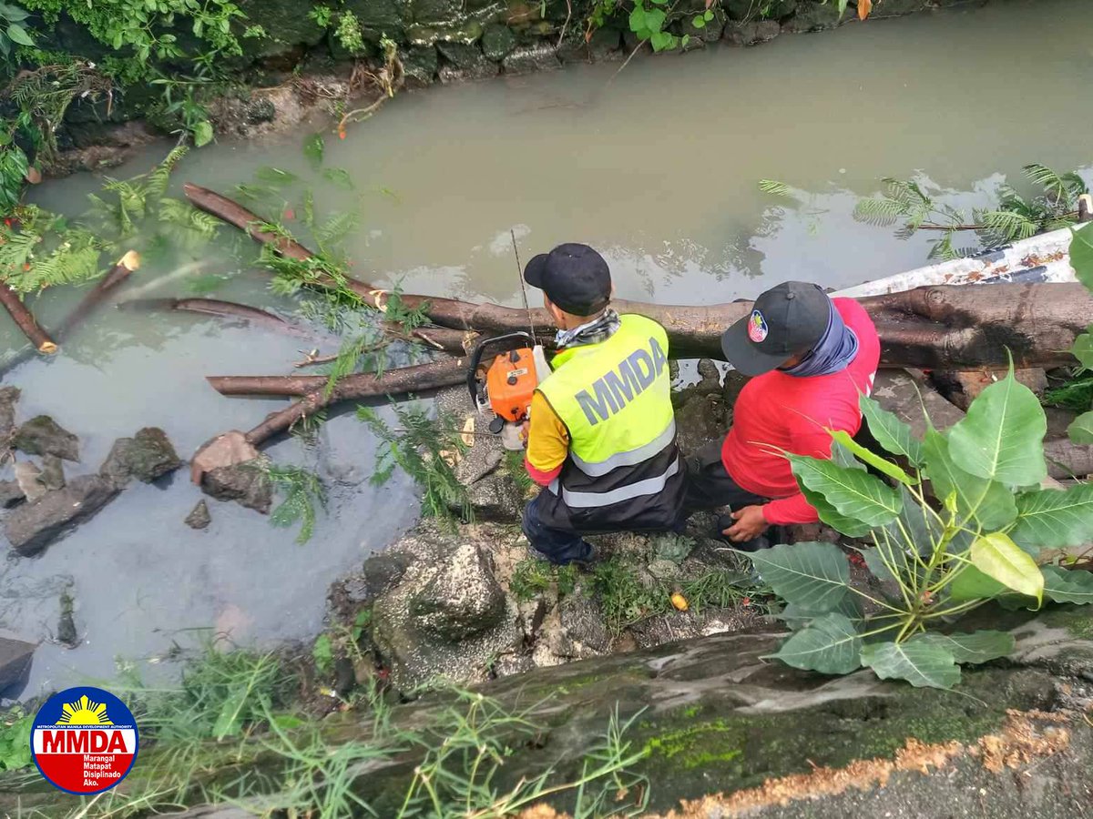 MMDA's tweet image. Natumba ang mga puno sa magkahiwalay na lugar sa Taguig at Quezon City dahil sa malakas na hangin na dala ng Bagyong #EgayPH ngayong araw.

Agad namang rumesponde ang mga tauhan mula sa MMDA Metro Parkways Clearing Group (MPCG) sa C5 Heritage para ito ay putulin at linisin ang…