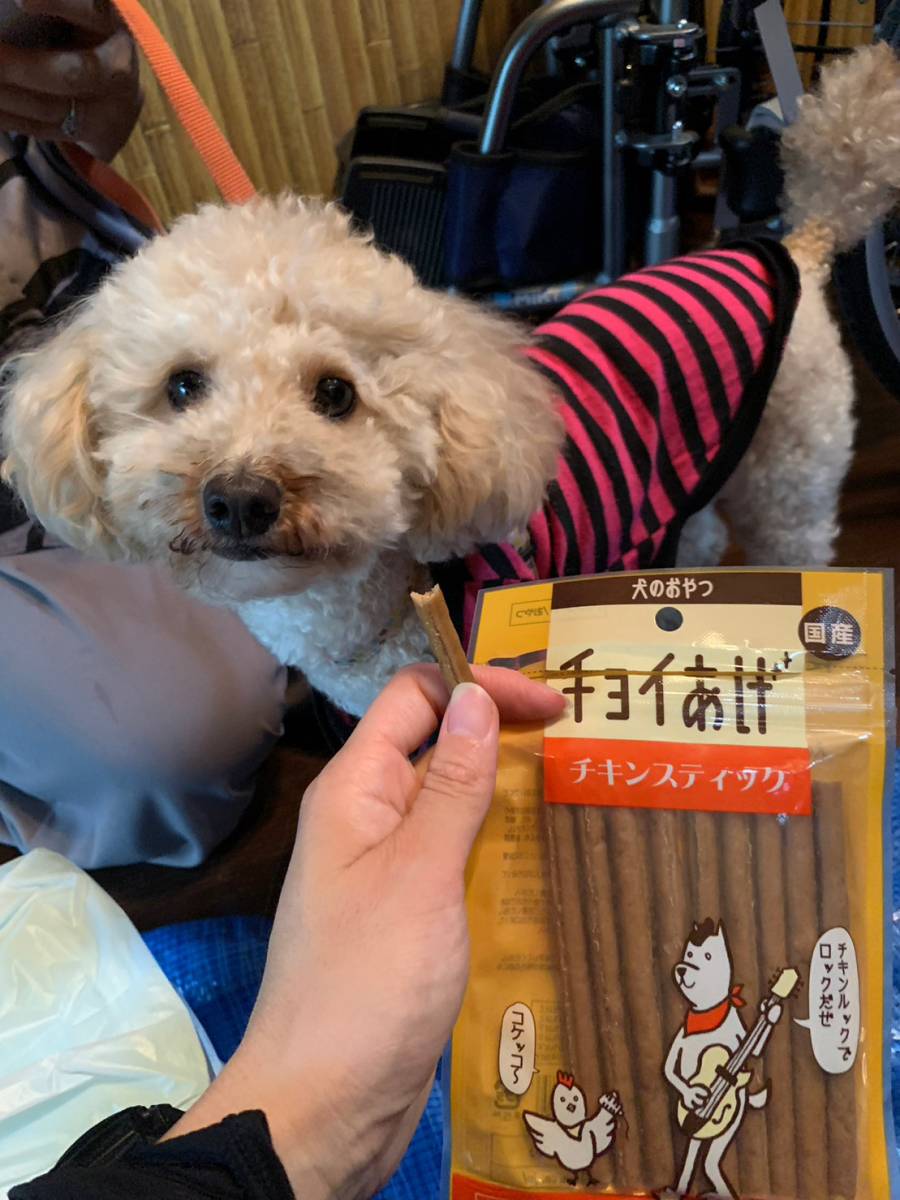 wanwantyoiage's tweet photo. 豪雨災害で久留米市にペット支援として、
認定NPO法人「日本レスキュー協会」が活動中

わんわんはそのご活動を支援するため、
＃チョイあげ を寄付しております

大変な状況の中、お写真を送ってくださいました

一日も早い復旧をお祈り致しております

＃日本レスキュー協会 ＃久留米市 ＃災害支援 https://t.co/uJmZCztWPd