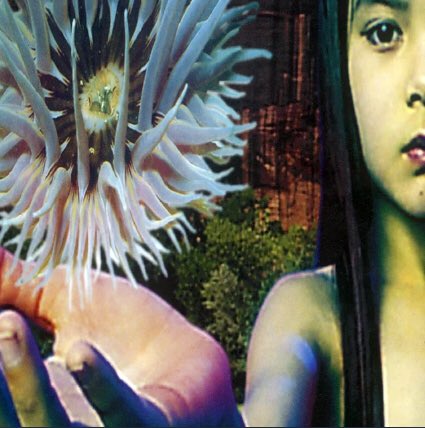 tgsparkmusic's tweet photo. Lifeforms, by Future Sound of London, changed my life when I first heard it back in the mid 90’s. Hadn’t played it for a while, so listened to it again yesterday. Still a brilliant album. Highly recommend it.
@fsoldigital https://t.co/NzJc6oVohK