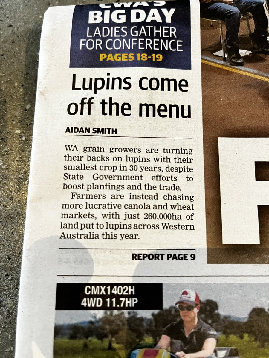 iMc Fels 📲🌾 tweet media