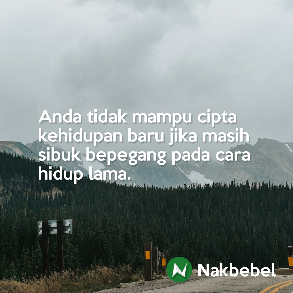 nakbebel's tweet photo. https://t.co/YDY6lW8ncz