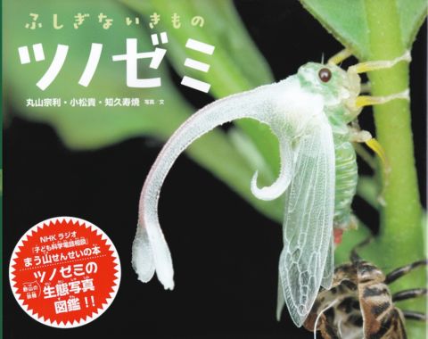 知久寿焼☆DVD たまははき居酒屋ライヴ 最終回実況盤 - メルカリ