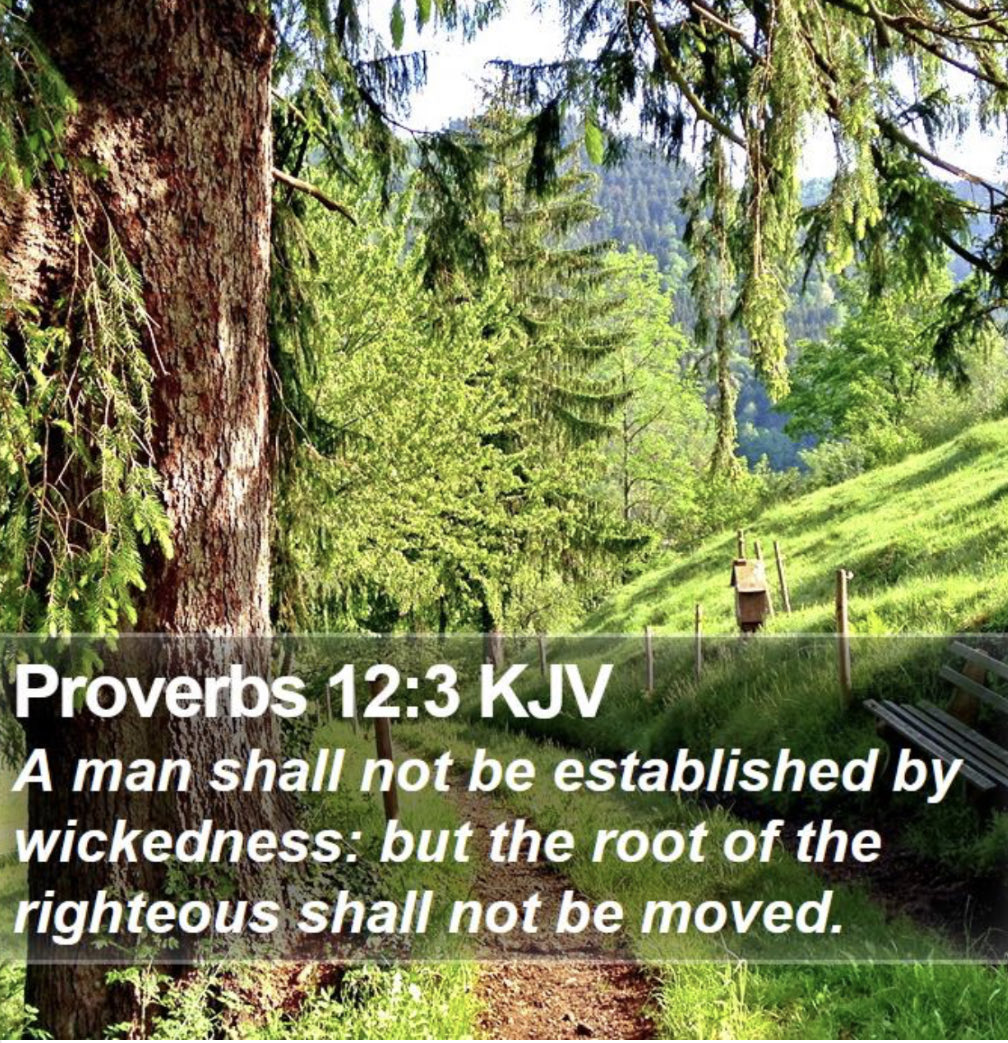 🐦Sandy Hanna🐦 tweet media