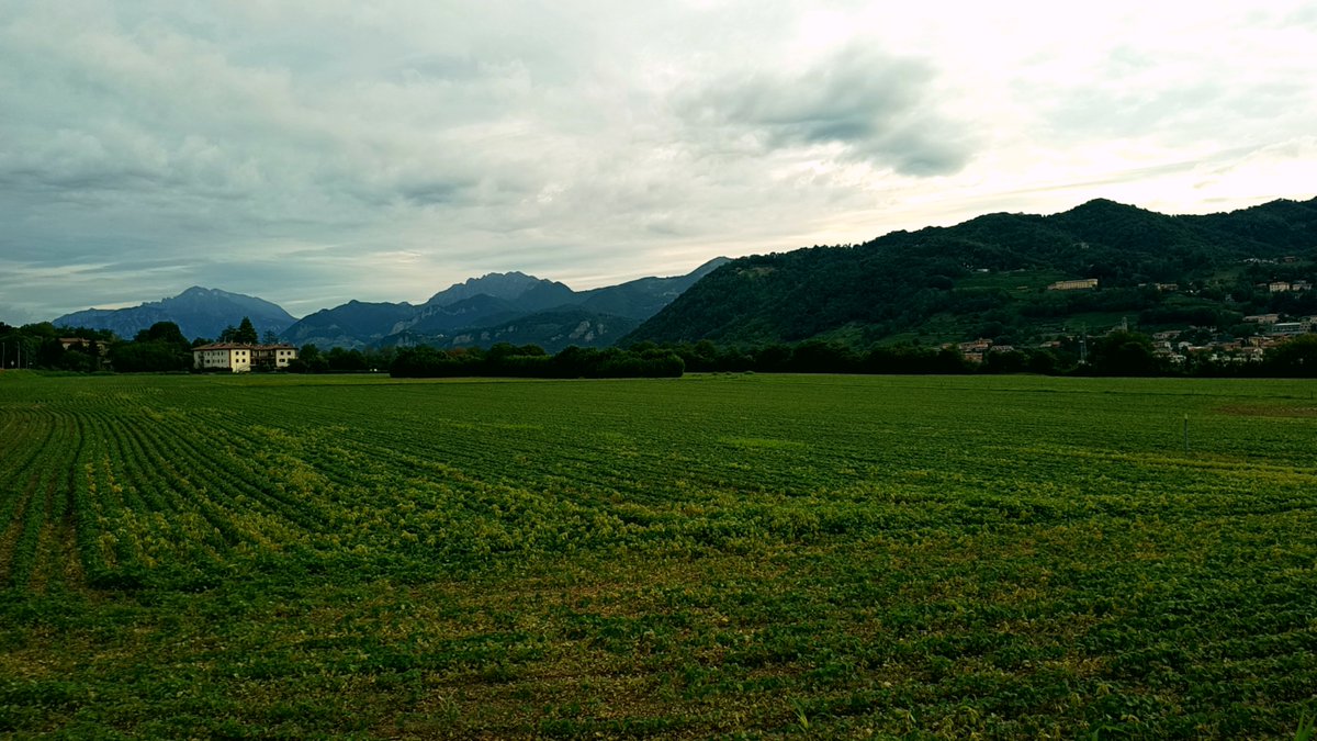 luigifoschini's tweet photo. Una splendida mattina per correre! 🏃‍♂️
#runningtime #iocorroqui #RunItaly #StormHour https://t.co/F6aCUSZnh4