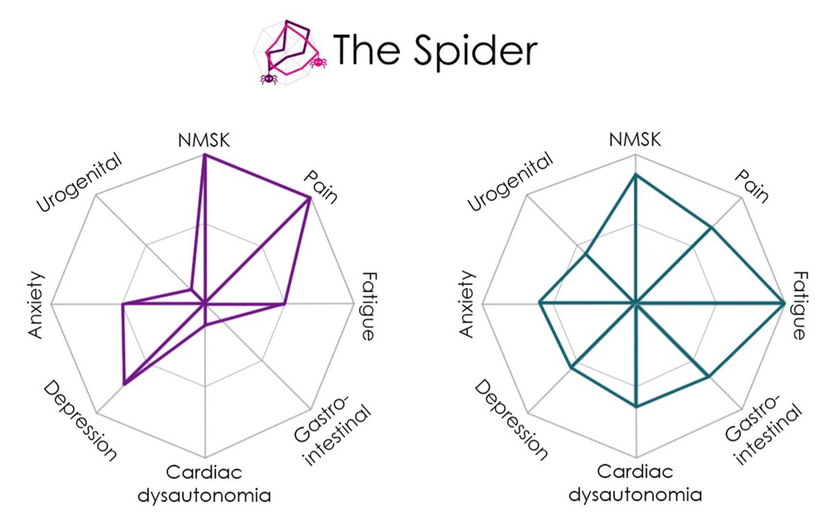 EllenEwer's tweet image. Very exciting - we are now testing ‘the Spider’ with adults with HSD/hEDS. The first stage of the study is now live for adults aged between 18 and 65 with and without HSD/hEDS. Please participate if able and share with others! ehlers-danlos.org/studies/testin… @jvsimmonds01  @HMSACharity