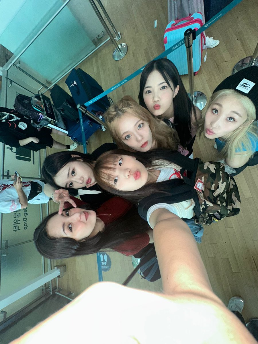 Lapillus_twt tweet picture
