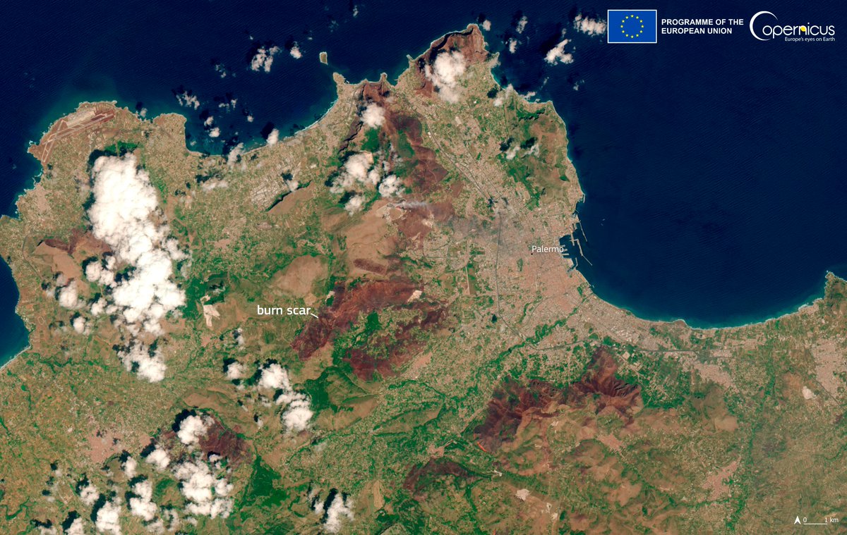 CopernicusEU's tweet photo. Wildfires are raging across the #Italian🇮🇹 island of #Sicilia 🔥

Spread by strong winds and arid conditions, the blazes have forced evacuations of residents and tourists

Yesterday, #Sentinel2🇪🇺🛰️ captured this image around #Palermo, in which burn scars and smoke are visible https://t.co/ojXYWDgQao