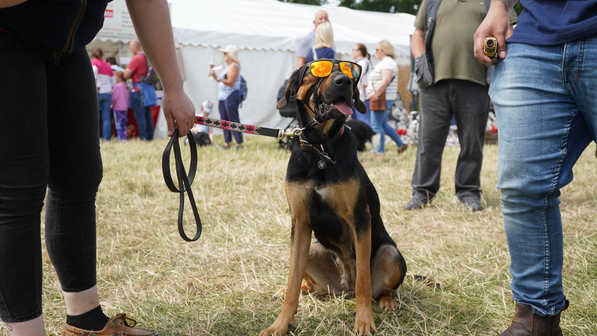 Reaseheath's tweet photo. We had a fantastic time at The @NantwichShow yesterday! We are delighted to be the landlords of this remarkable event to celebrate all things agriculture.
What did you enjoy the most at the show? Let us know by replying to this tweet! π·
#WeAreReaseheath https://t.co/yBwPnPYVxC