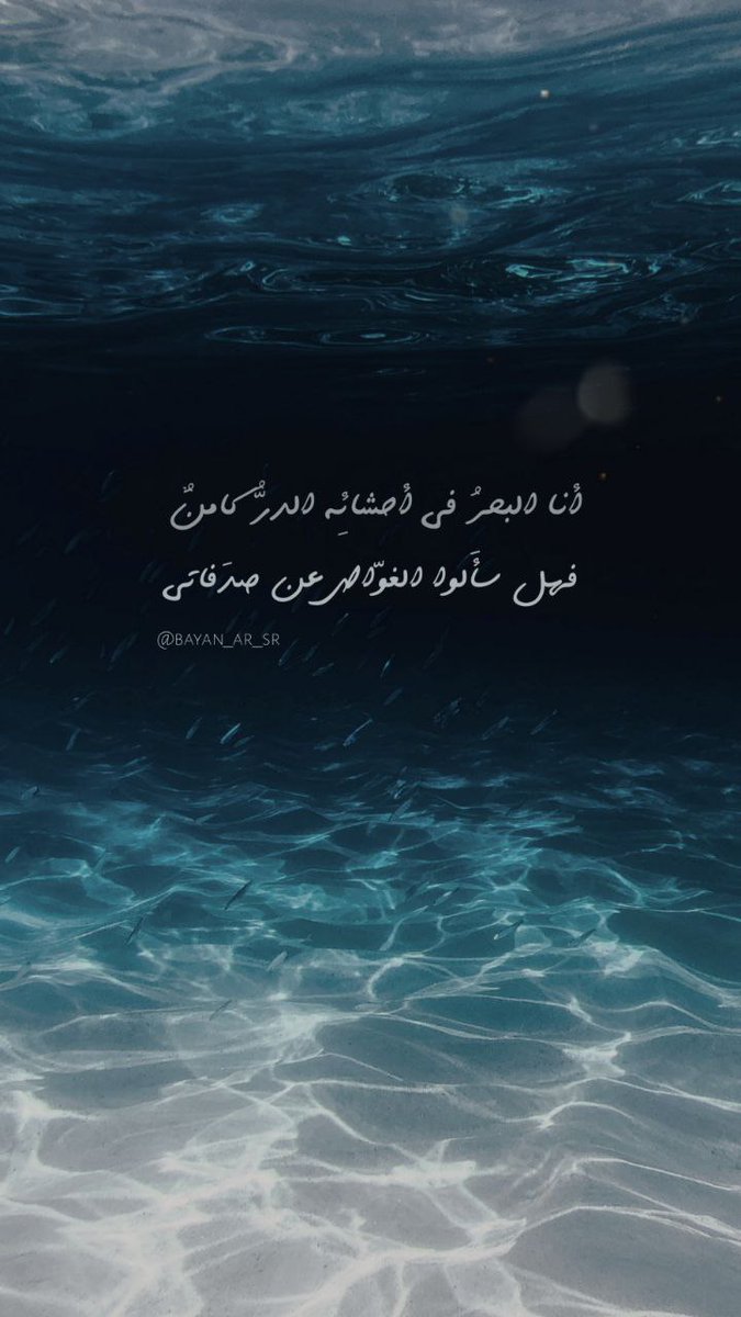 صدف tweet media