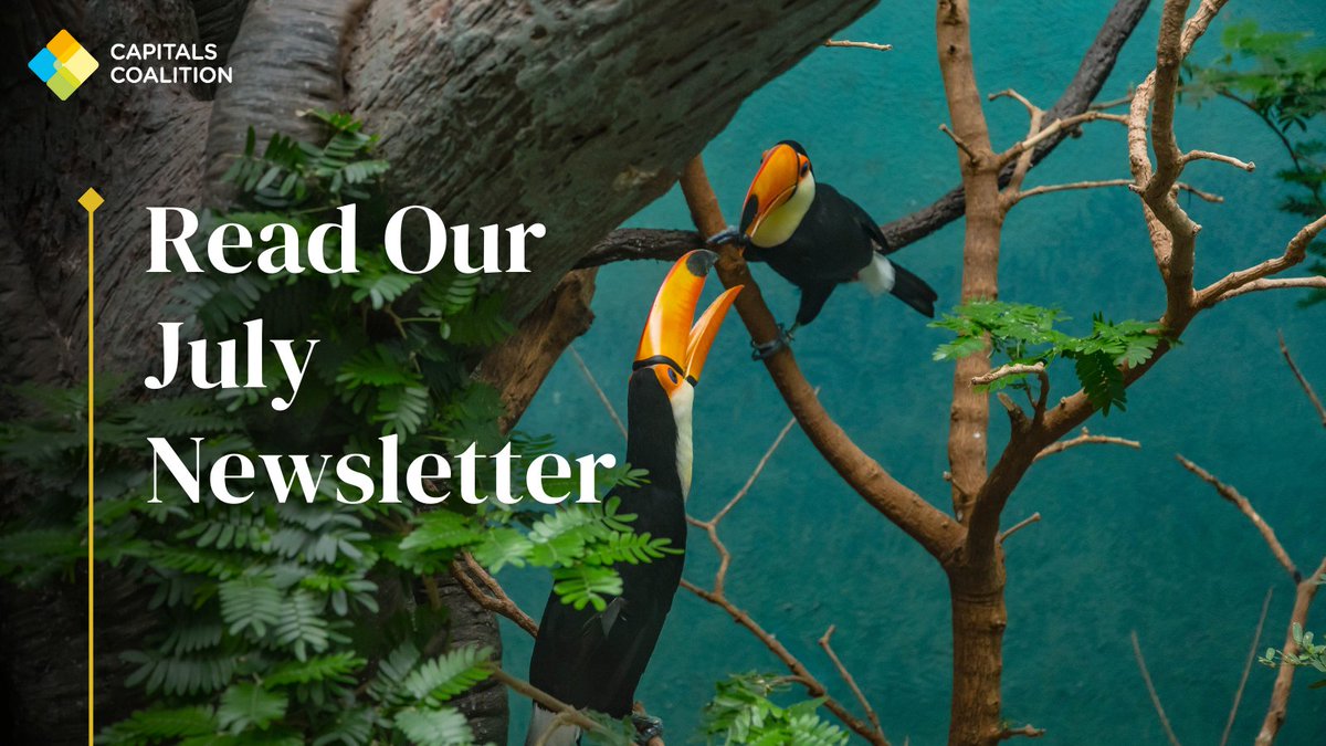 CapsCoalition's tweet photo. In this month's newsletter:
📚 Read our latest annual report
✍️ Learn more about the upcoming Value Commission public consultation
🇪🇺 Updates on our EU projects
Read on: https://t.co/qHGGjQnCWZ https://t.co/hr5Nd1pKdn