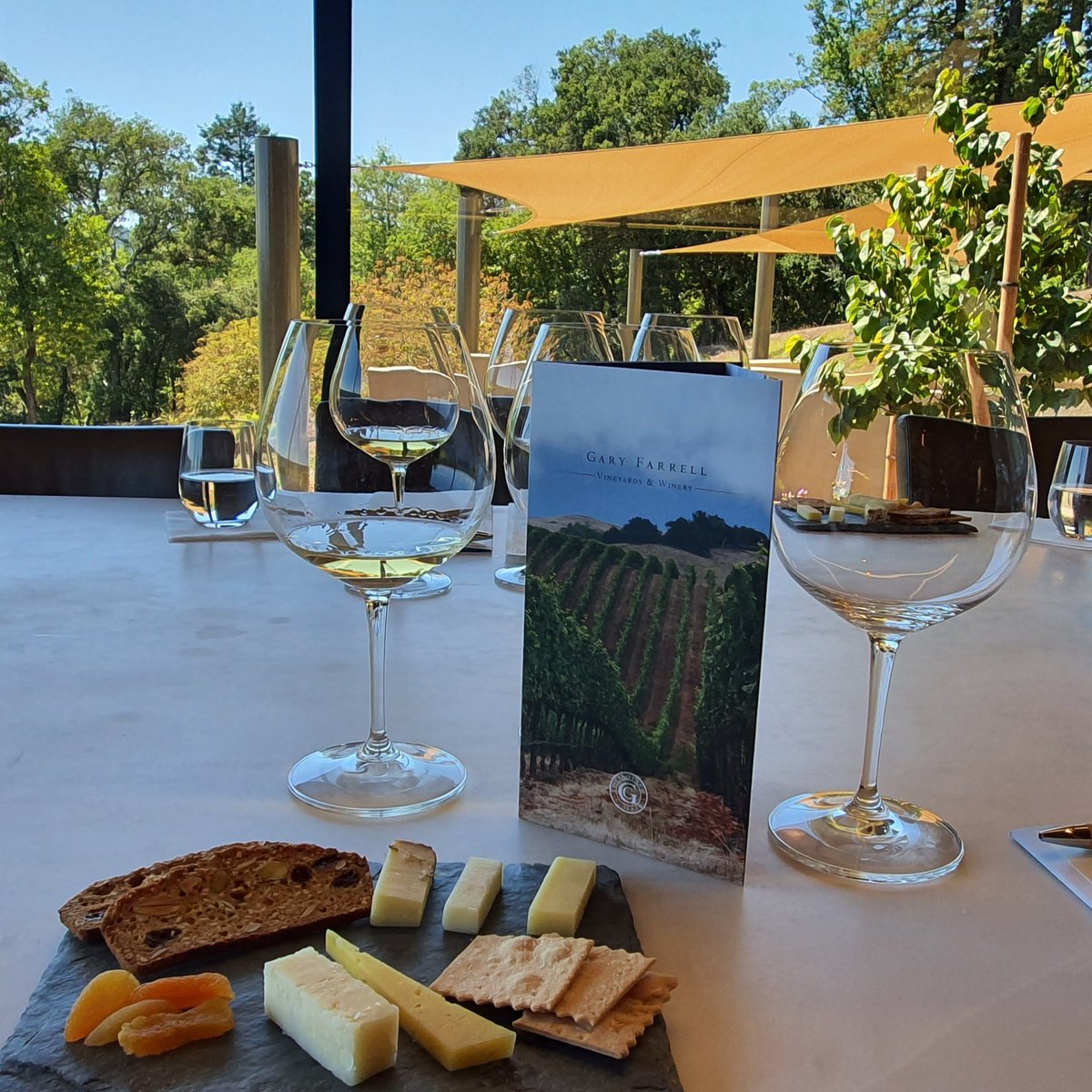 tc_call's tweet photo. "Years. Lovers. Glasses of wines. These are things that should never be counted." [The Age of Adaline]

Wine Tasting in Sonoma County, California🍷😁 https://t.co/9ed8p2t6cX