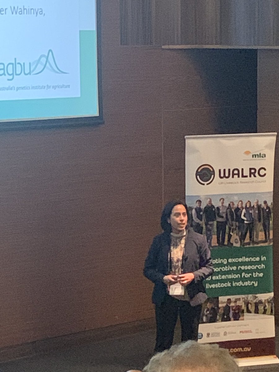 AGBU_GENE's tweet photo. 🌟 Exciting talk by Sara de les haras from @agbu_gene at #aaabg2023 producer day! 🐑🛰️ She's exploring innovative models to detect climate resilient sheep using satellite data. #Genetics #Livestock #ClimateResilience 🌍🐏 @UniNewEngland @nswdpi @meatlivestock https://t.co/mmhTuU3pIi