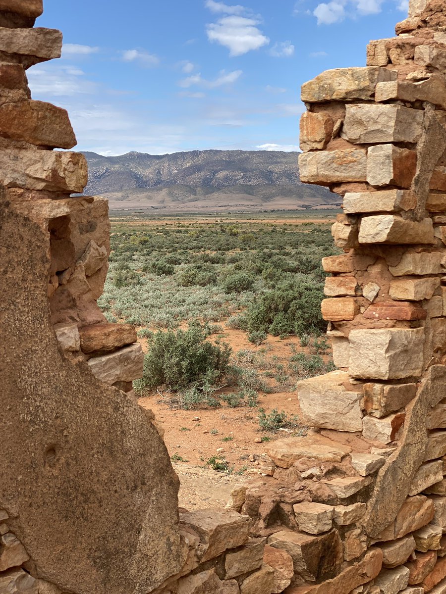 futurethink_ist's tweet photo. @VisualsbySauter Flinders Ranges, South Australia, early 2023 https://t.co/JvMH19mDH4