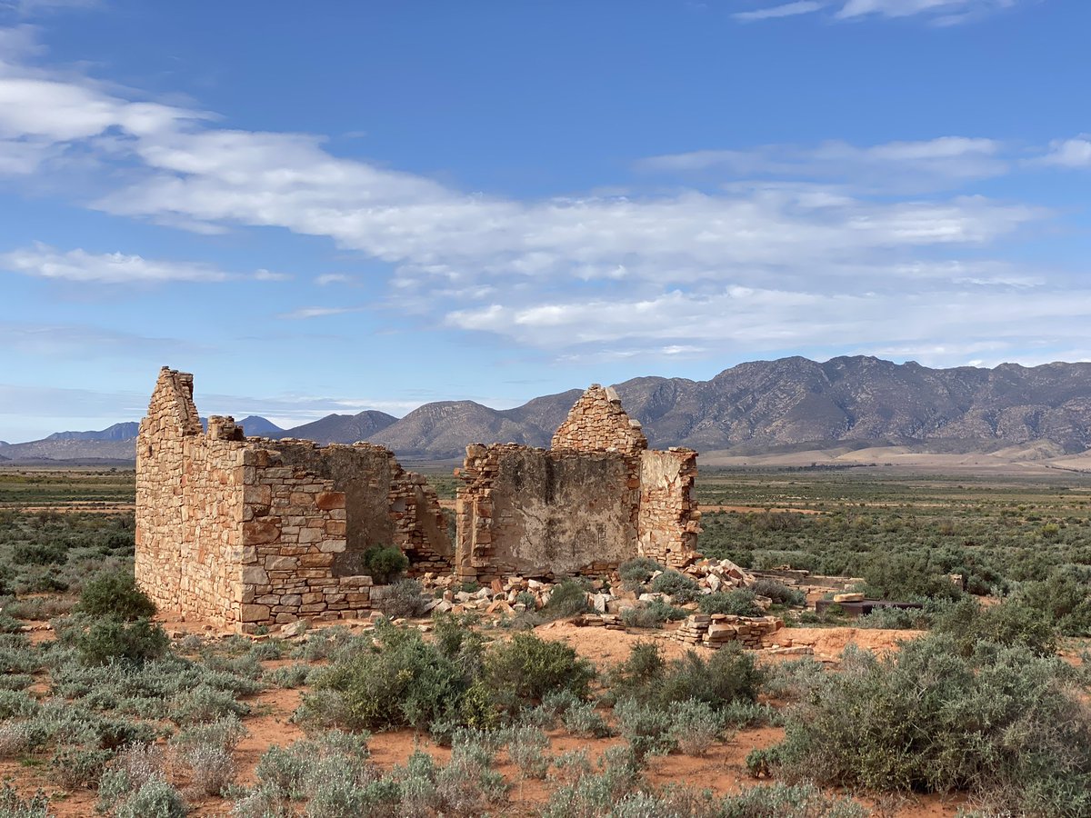 futurethink_ist's tweet photo. @VisualsbySauter Flinders Ranges, South Australia, early 2023 https://t.co/JvMH19mDH4