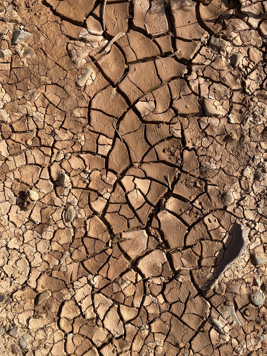futurethink_ist's tweet photo. @VisualsbySauter Flinders Ranges, South Australia, early 2023 https://t.co/JvMH19mDH4