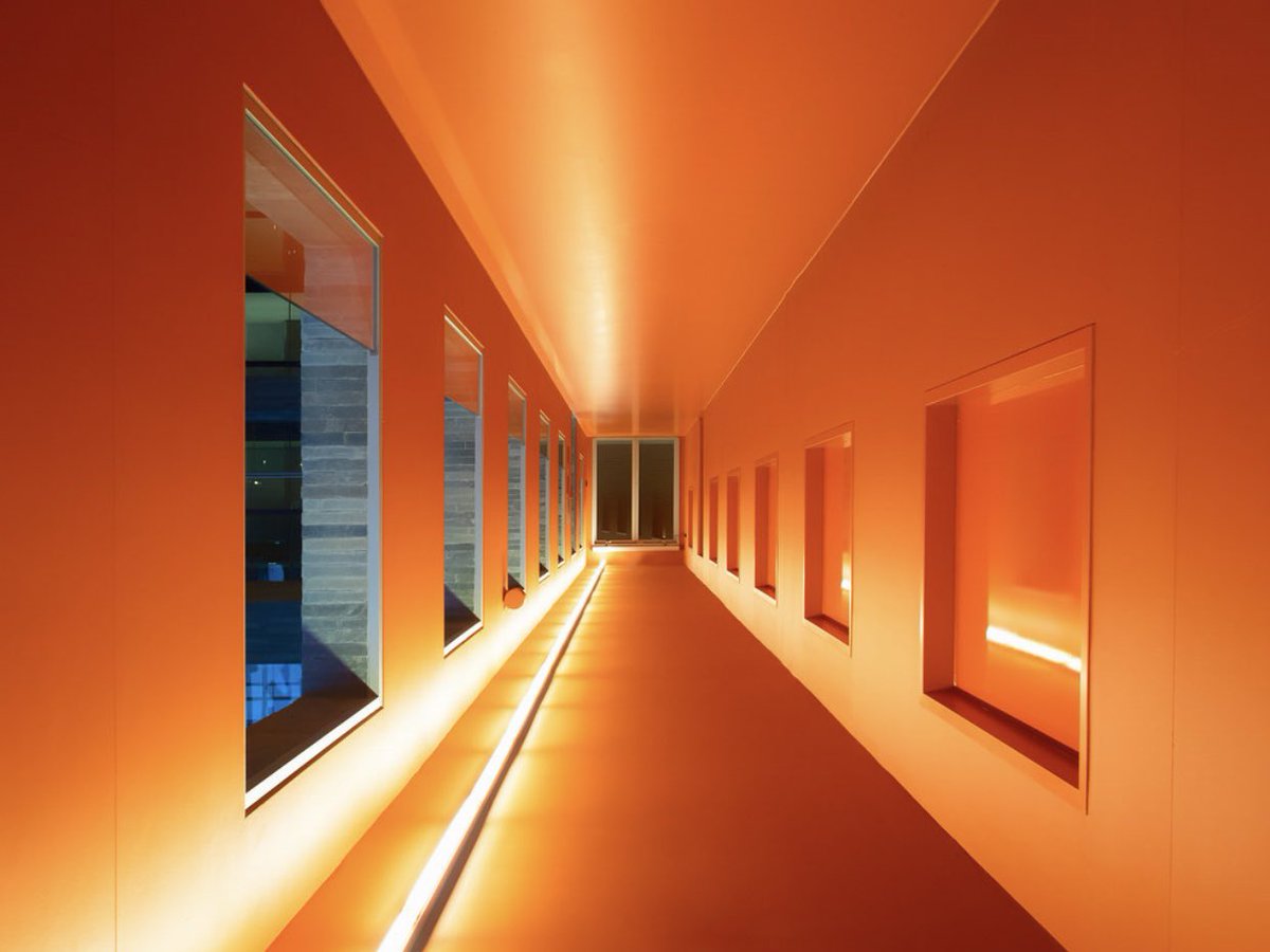 VerymuchOn's tweet photo. Orange by Emre Kanik https://t.co/NzKrc2y32e