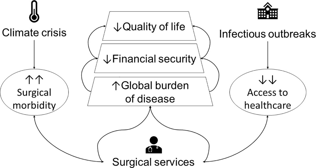 COVID-19, Monkeypox, climate change and surgery: A syndemic undermines the right to be operated in a clean, healthy and sustainable environment https://t.co/4q1ts7zsHQ https://t.co/9JH2CgumF6