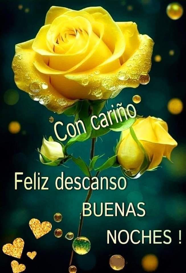 Buenas noches descansa 🙏☕💤💐🌻🌺💤💤💤