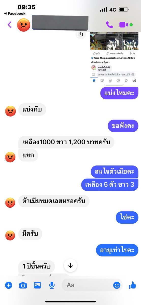 ꕤ 𝙰𝙽𝙲𝙷𝙰𝙽𝙰 ₍ᵔ·͈༝·͈ᵔ₎ tweet media