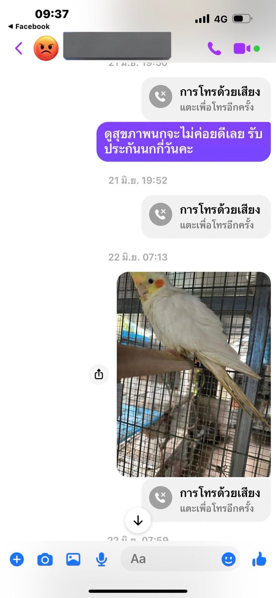 ꕤ 𝙰𝙽𝙲𝙷𝙰𝙽𝙰 ₍ᵔ·͈༝·͈ᵔ₎ tweet media