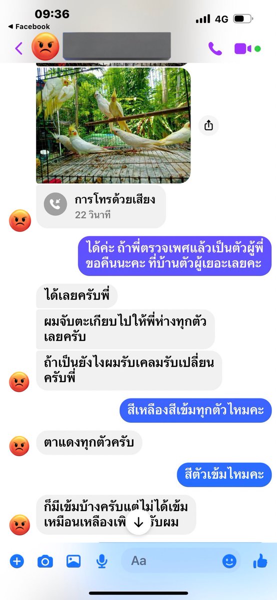 ꕤ 𝙰𝙽𝙲𝙷𝙰𝙽𝙰 ₍ᵔ·͈༝·͈ᵔ₎ tweet media