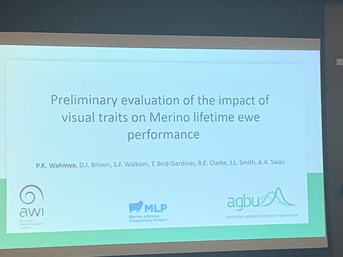 AGBU_GENE's tweet photo. 📢🐑 Awesome talk at #aaabg2023 producer day by @agbu_gene's Peter Wahinya! 👏🌟 The exploration of visual traits' impact on ewe lifetime productivity was engaging and thought-provoking! 🧠🐾 It's fantastic to see how it sparked meaningful interactions within the crowd! 🗣️🤝 https://t.co/89xvzmXPeK