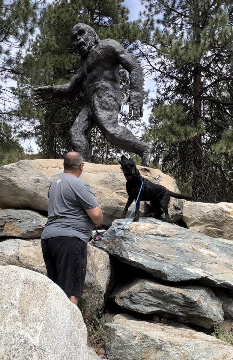 TashaLeeAndCrew's tweet photo. @Phil_Sledge Big bad Sasquatch https://t.co/Wbke9BqN15