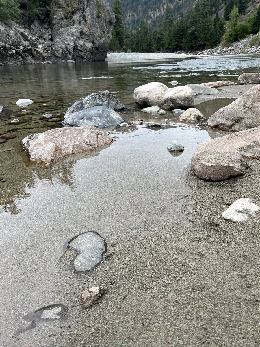 TashaLeeAndCrew's tweet photo. @VisualsbySauter Similkameen River just outside Princeton, Alberta https://t.co/eC8XjTPH4R