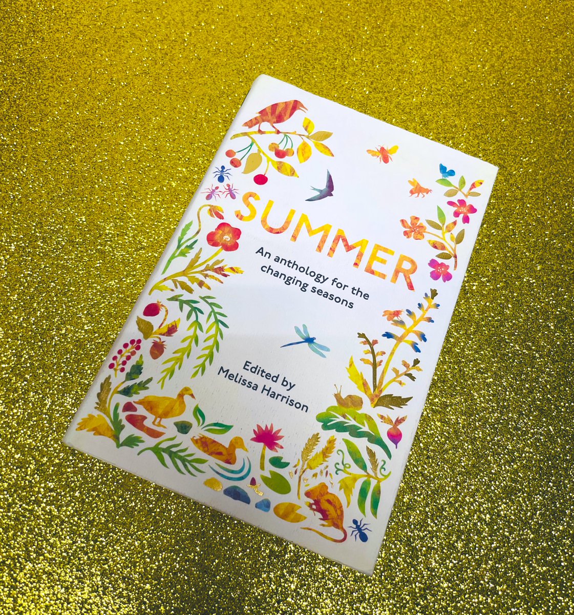 angloamericanb's tweet photo. The summer is magic! What are you reading this summer? #summerreading #booktwitter #booklover https://t.co/WzjsYD68qh