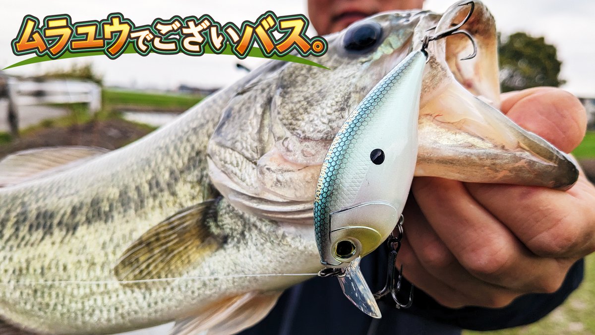 DUEL_jp's tweet photo. シャッドの次はクランク＆ジャークベイトでも連発!! in 福岡(後編)
ムラユウでこざいバス。村川勇介
https://t.co/tu2dve6GX6

霞ヶ浦を飛び出したムラユウ。
福岡の2日目は、クランクとジャークベイトで攻めます!!
最後までお見逃しなく!!

#DUEL #ハードコア #LBASS  #クランク #ジャークベイト https://t.co/ZewEHwVgWF