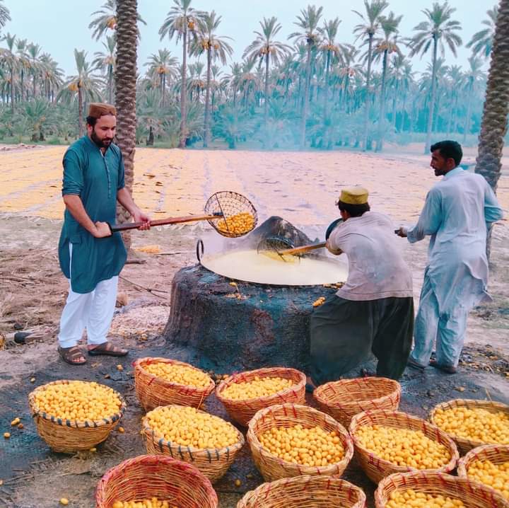 Big loss of Dates #KhairpurMirs recent Rains
No any Compensation by Govt as usual
<a href="/ShahNafisa/">Nafisa Shah</a> 
<a href="/MuradAliShahPPP/">Murad Ali Shah</a>
