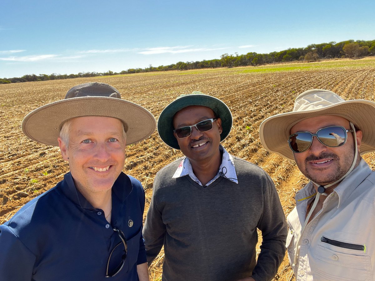 Daniel Huberli tweet media