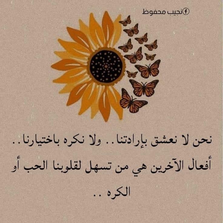 Yah198's tweet photo. @1313noanoa https://t.co/eRVmNT4I80