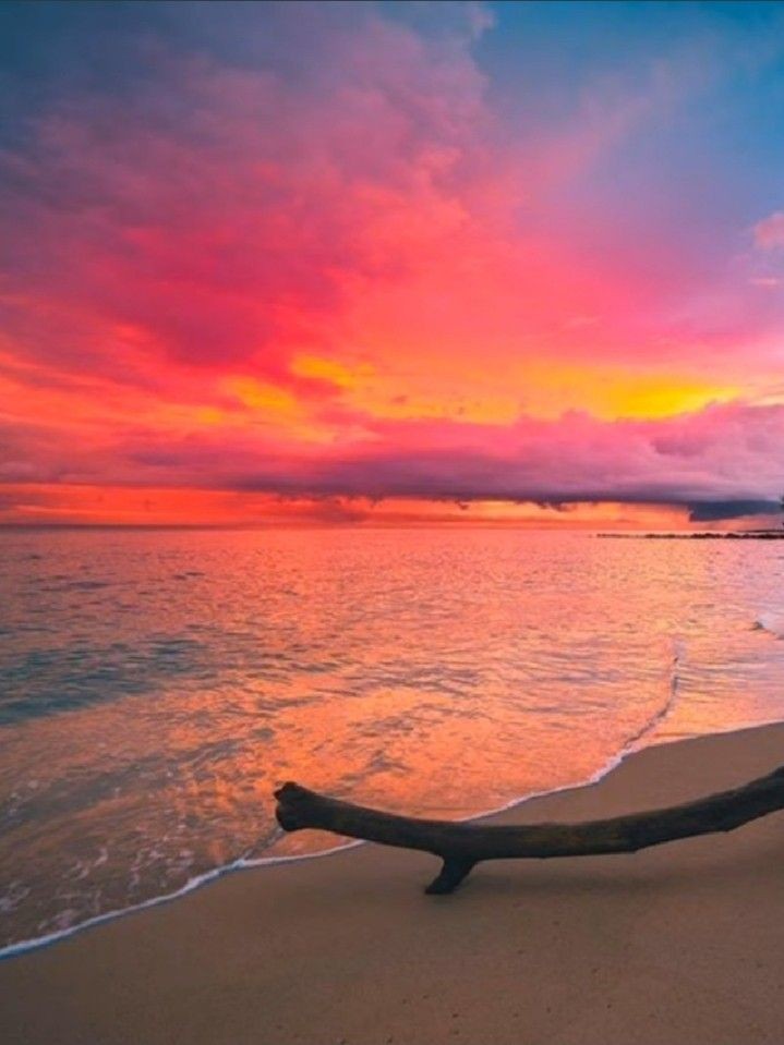 Ogni alba ha il suo colore
ogni giorno il suo sapore
e se talvolta si mastica amaro
non importa se non è chiaro
ogni giorno poi finisce
e domani ci si stupisce
è la meraviglia della vita
che è sorpresa infinita

#Buongiorno 
#LimponderabileFragilitàDellEsistenza 
#27luglio