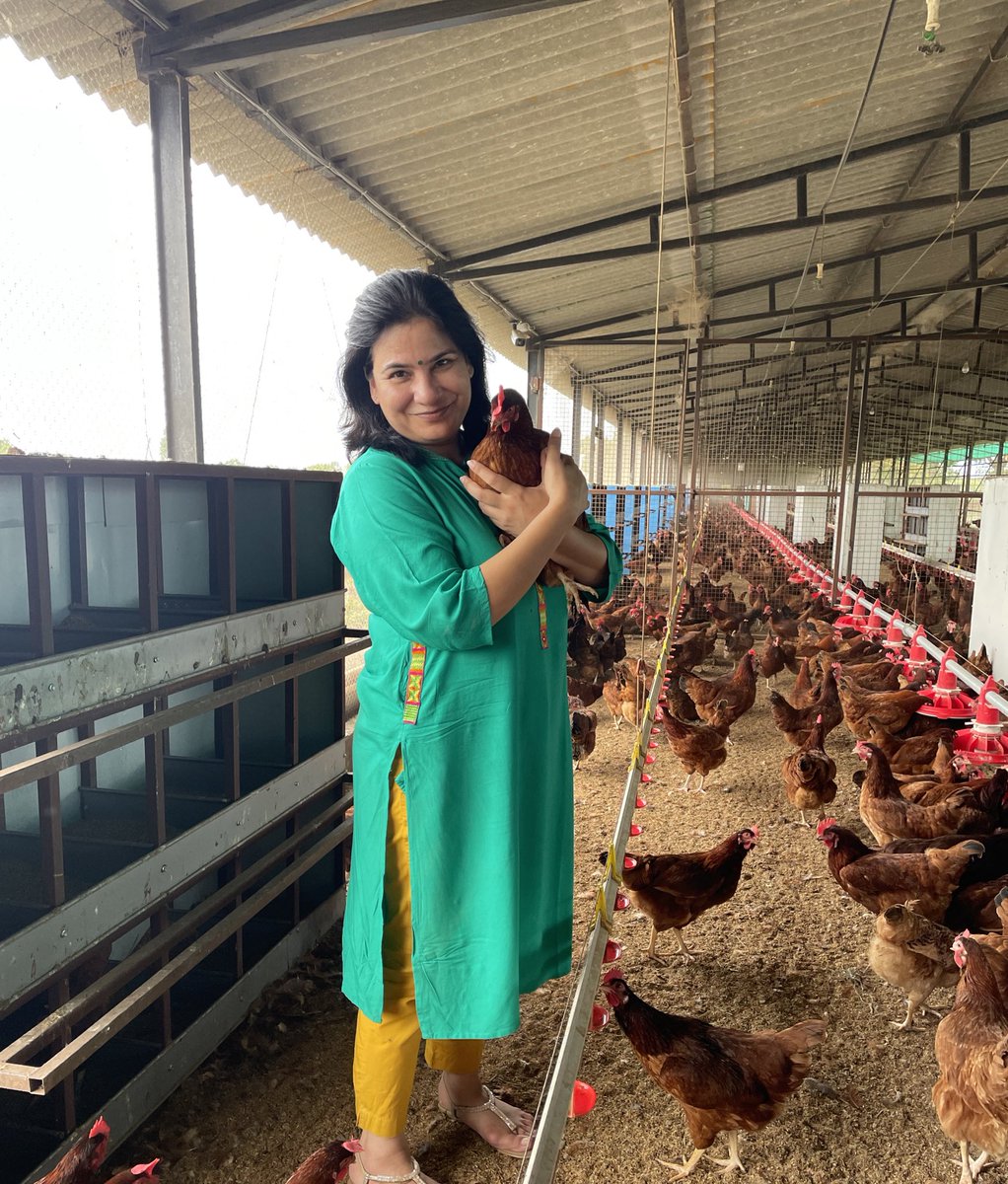 gauri_maulekhi's tweet photo. Hens won’t have to be kept in battery cages if YOU either go #PlantBased or at least #ChooseCageFree. 

In battery cage egg farms, hens get zero opportunity to spread their wings, stand up straight, turn around, have access to nest box, perch, dust bathing or socialising. #CageIsCruel

Hens are intelligent, curious birds with problem solving skills and each of them have a distinct personality. They deserve better than being imprisoned for life in #BatteryCages.