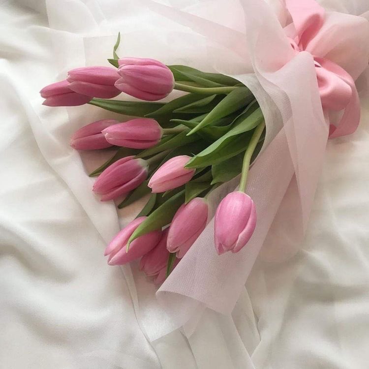 estheticviews's tweet photo. pink tulips https://t.co/SJDJTCc6hK