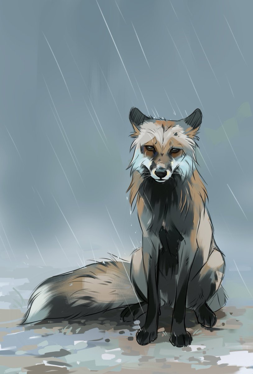 Danielle | Nali (@nali_draws) on Twitter photo 