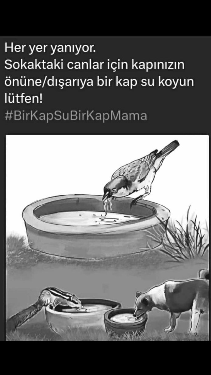 Bu sıcak günlerde sokaktaki canları unutmayalım.Hepimiz evimizin ya da iş yerlerimizin önüne bir kap su koyalım lütfen 🙏 #günaydın #sabah