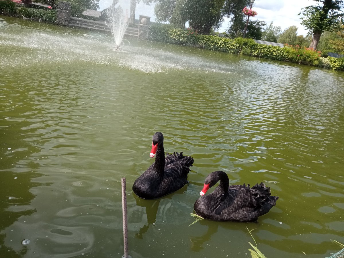 Kristinesk2 (@kristinesk22) on Twitter photo 