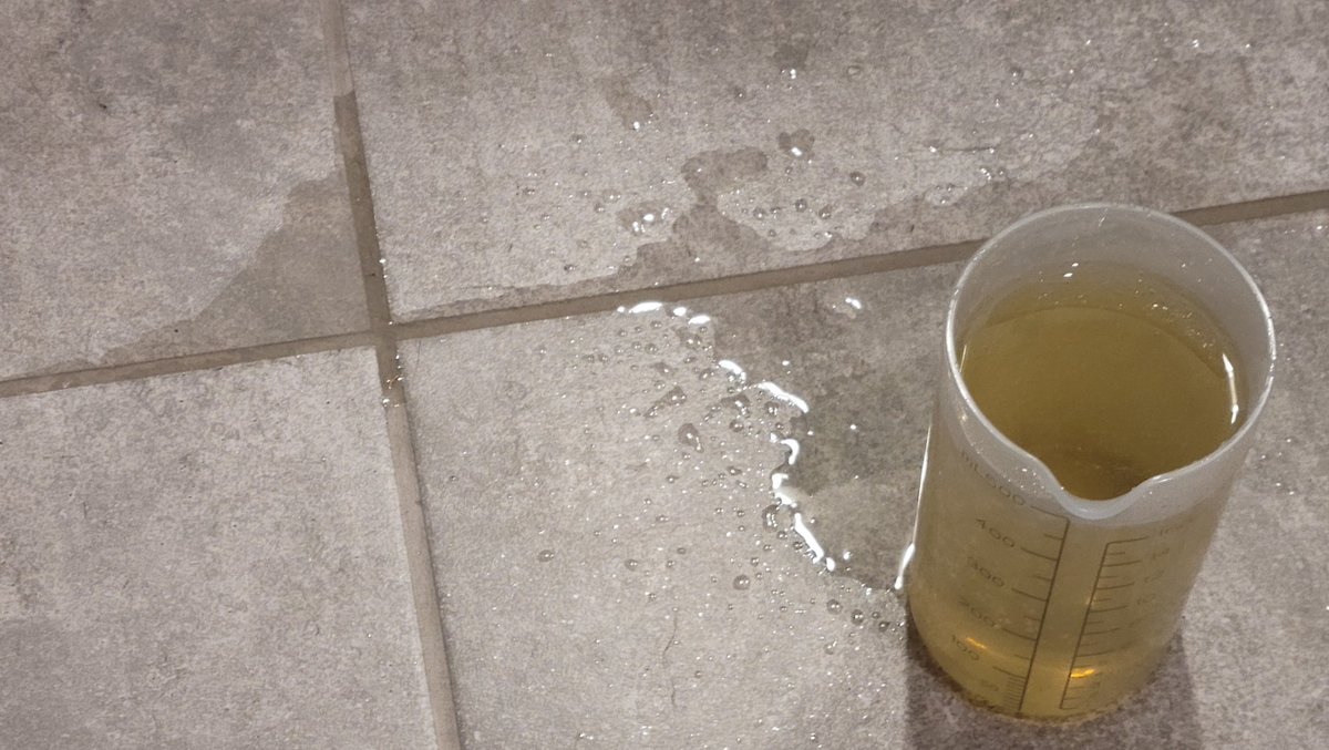 ThatBratMaxxx's tweet photo. Didn't purposely fill for this. Over 500ml if you count what's on the floor. Definitely going to need a bigger measuring cup.π³
#pee #peeholding #peecontent #peeing #measuringpee #piss #pissing #peeinacup #pissinacup #pissonthefloor #peefetish #pisskink #omorashi #peedesperation https://t.co/Qw1UXld1QL