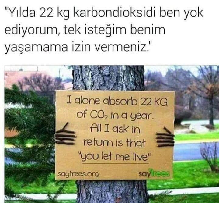 Namuslu insanların öfkesi yeryüzünün en güzel, en haklı, en müthiş kuvvetlerinden biridir...
 Nazım Hikmet Ran #Gün_Aydınlar☕️ 

#AkbeleneDokunma 🌳