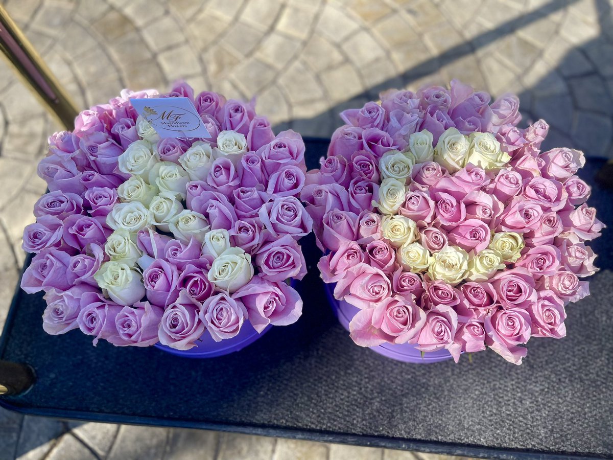 M_flowersza's tweet image. 💕💕💕 Happy Thursday 

#boxedroses #pinkroses #floristinsandton #floristinfourways #giftsforher #roses #Magnificentflowers