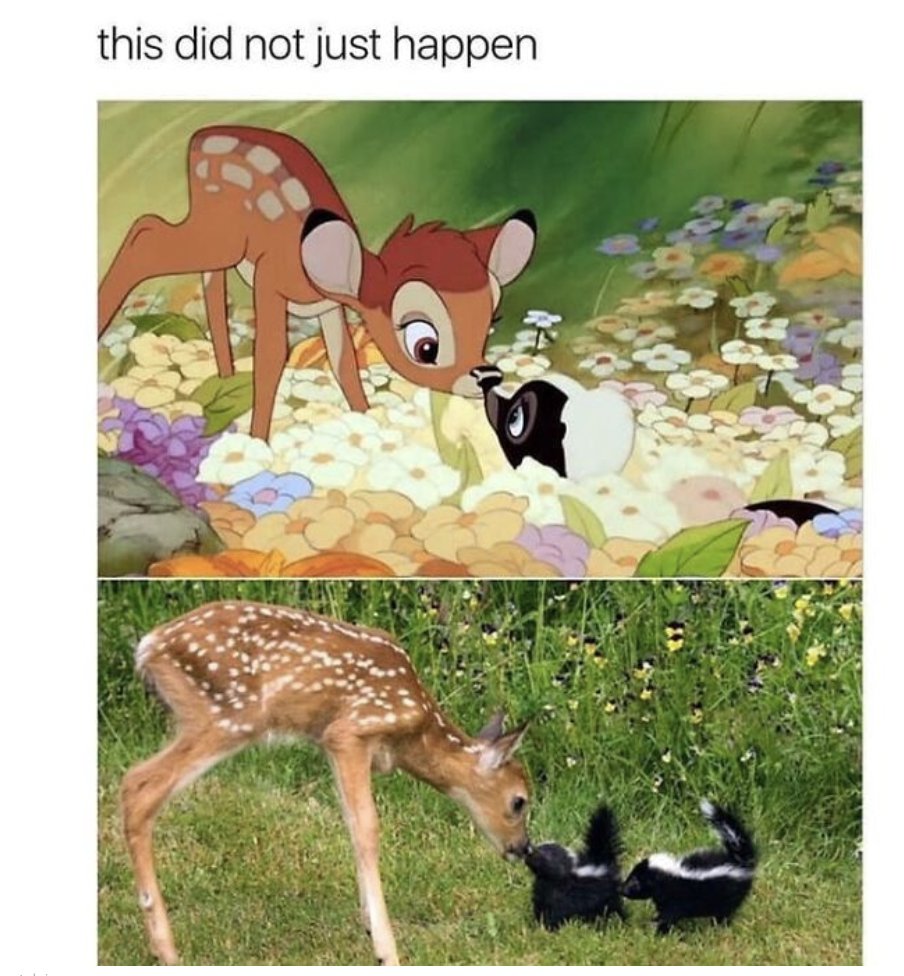 WholesomeMemes tweet media