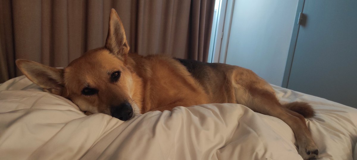 Puri R.V. tweet media