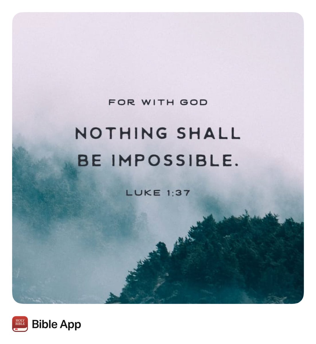 Kc Binder tweet media