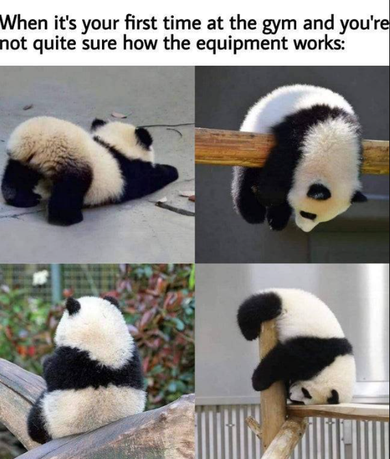 WholesomeMemes tweet media