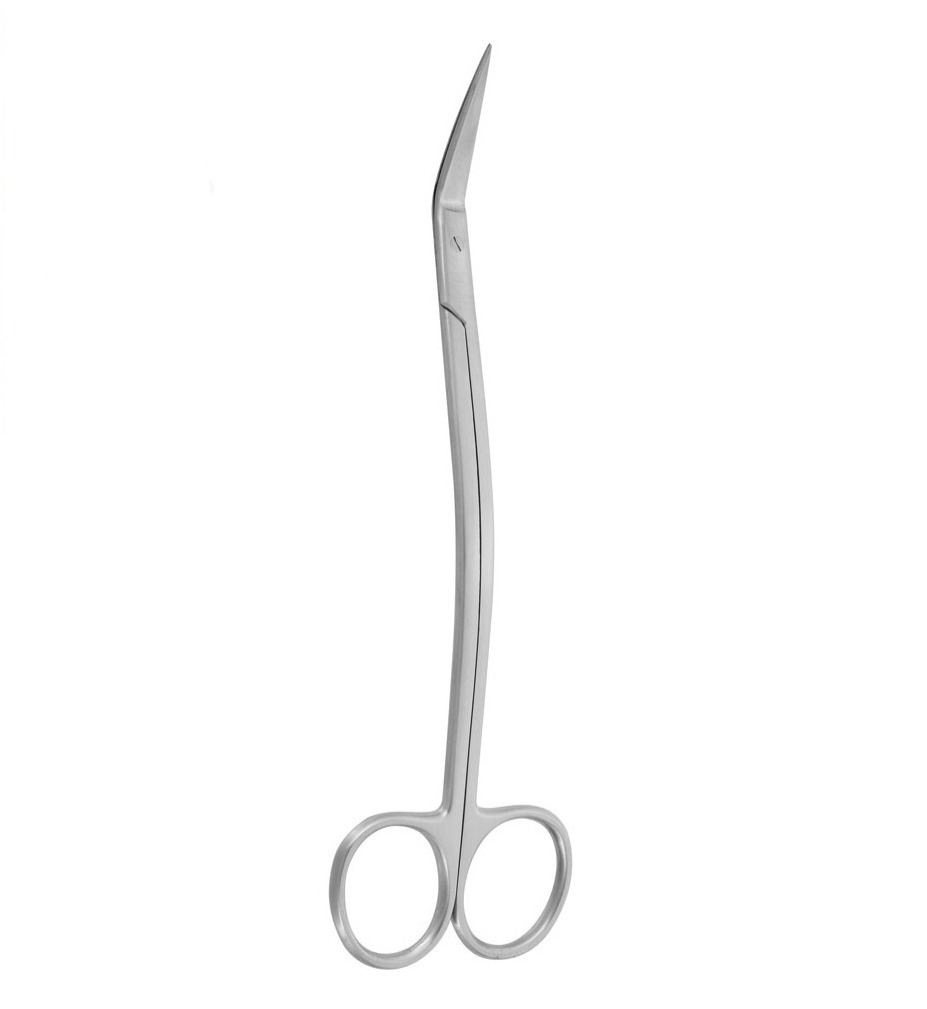 KtsurgicoUs's tweet image. 𝐄𝐍𝐓-𝐃𝐞𝐚𝐧 𝐒𝐞𝐫𝐫𝐚𝐭𝐞𝐝 𝐒𝐜𝐢𝐬𝐬𝐨𝐫𝐬!💯

𝐔𝐧𝐛𝐞𝐚𝐭𝐚𝐛𝐥𝐞 𝐐𝐮𝐚𝐥𝐢𝐭𝐲
𝐀𝐟𝐟𝐨𝐫𝐝𝐚𝐛𝐥𝐞 𝐏𝐫𝐢𝐜𝐞, 
F𝐚𝐬𝐭 𝐝𝐞𝐥𝐢𝐯𝐞𝐫𝐲!

𝐁𝐔𝐘 𝐍𝐎𝐖: ktsurgico.us/product/ent-de…

.
.
.
.

#SurgicalInstruments #ENTtools #MedicalEquipment  #ktsurgico #kts