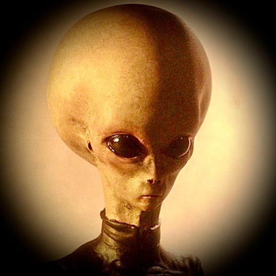 StephanieSermon's tweet image. Some gorgeous examples of so-called #GreyAliens👽 (seriously, it may just be the interplanetary #lesbian in me, but some of the female #ZetaReticulans👽 I would not say “no” to)…

But which should I use as a profile pic?

Which is your fave (see the whole thread before voting)?